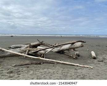 Kalaloch Beach, May Of 2021