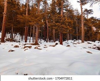 Kalam Valley, Swat, KpK Province Pakistan