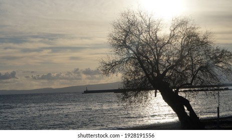 Kalamata Beach Winter Of 2017