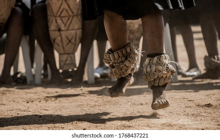 A Kalanga Traditional Group Dancing and Celebrating To The Beat of Drums With Snare Around Their Ankles During A Traditional Wedding.