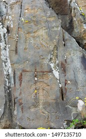 Kalbak-Tash Petroglyphs (4th Millennium BC - 1st Millennium AD). 723th Km Of Chuya Tract. Altai Republic, Siberia, Russia.