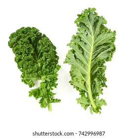 Kale Isolated On White Background