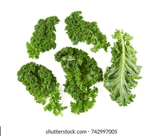 Kale Isolated On White Background