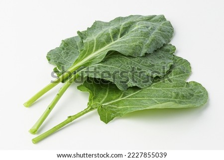 kale, kail, leaf cabbage isolated on white background