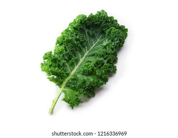 Kale. King of nutrition. A Kale leaf isolated on white.