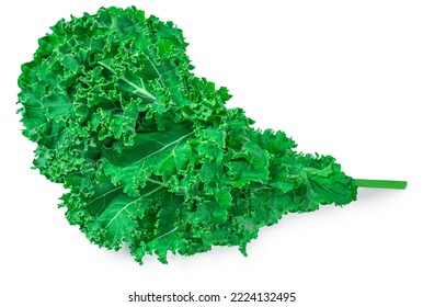 Kale Leaf Salad  Isolated On White Background. Kale Cole  Closeup. Flat Lay.  Top View