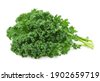 kale curly