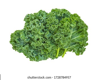 Kale leaf salad vegetable isolated  on white background. Creative layout made of kale closeup. Flat lay. Food concept.
