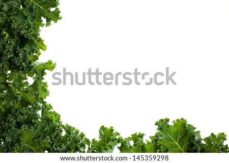 Kale leafs covering two side of the image