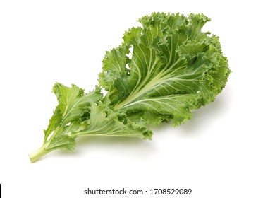 Kale Leafy Vegetable Closeup On White Background