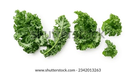 Kale placed against a white background. View from directly above.