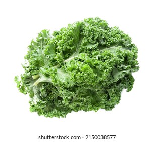 Kale Salad Isolated On White Backgrounds. Healthy Food Ingredient.