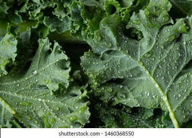 kale salad leaves close up with water drops background - Powered by Shutterstock