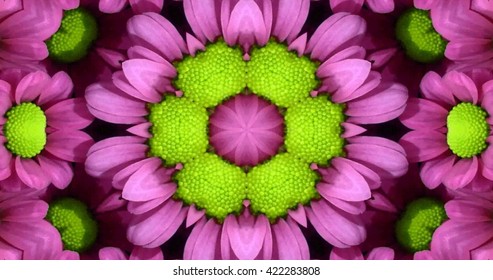 Kaleidoscope Flower 