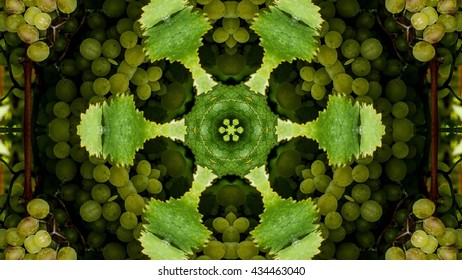 Kaleidoscope Fruit 