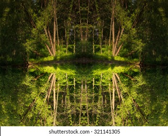 Kaleidoscope Nature