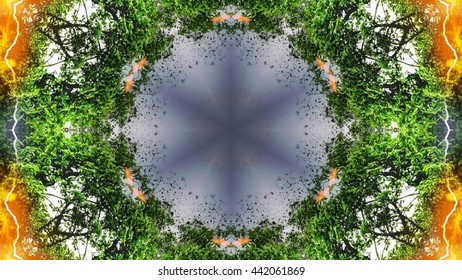 Kaleidoscope Nature