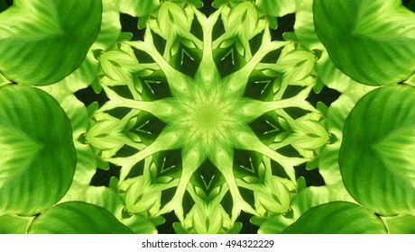 Kaleidoscope Pattern Design