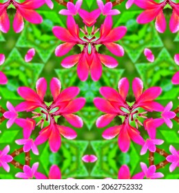 Kaleidoscopes background - Square frame Rounded shape made with Pink Flower