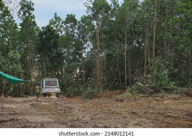 Kalimantan, Indonesia, March 12, 2022, is a land clearing process using a dozer, land clearing in the form of trees that are pushed with a dozer