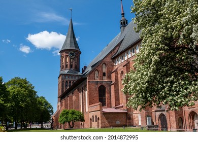 Kaliningrad, Russia - May 31, 2021: Königsberg Cathedral On A Clear Summer Day