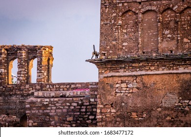 Kalinjar Fort, 10th Century Beautiful Ancient Architecture, Built By Chandela King, Located In Banda District Of Uttar Pradesh State, Near World Heritage Site Of Khajuraho.