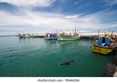 Kalk Bay Fishing Boats