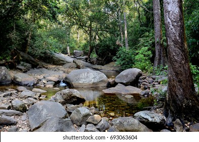 kallar river bed ponmudi thiruvananthapuram kerala india