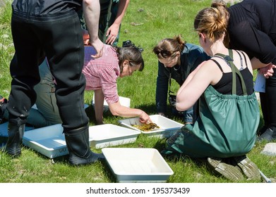 KALMAR, SWEDEN - MAY 26: Female Students On Ecology, Biology Field Trip To Study Marine Life.