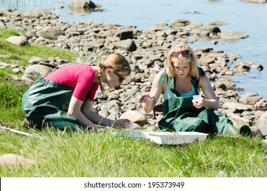 KALMAR, SWEDEN - MAY 26: Female Students On Ecology, Biology Field Trip To Study Marine Life.