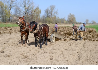 Stercorate Images, Stock Photos & Vectors | Shutterstock