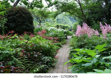 Kamakura Shade Garden