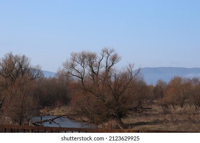 Kamchia River Located Near The Village Of Khan Krum