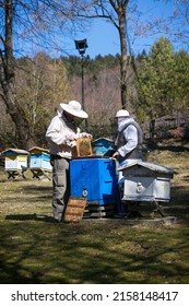 Kamianna village, Poland - 03.28.2022. Beekeepers feed the bees in the beehive.