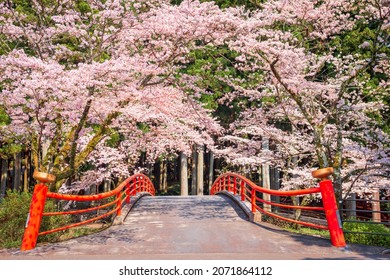 Kamijo, Shizuoka, Japan rural scene with cherry blossoms and a traditional bridge.