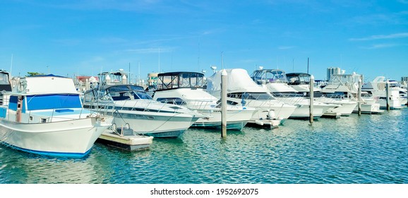 Kammerman's Marina In Atlantic City Golden Nugget. Frank S. Farley State Marina, New Jersey 