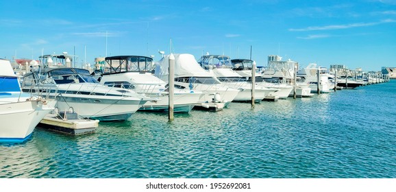 Kammerman's Marina In Atlantic City Golden Nugget. Frank S. Farley State Marina, New Jersey 