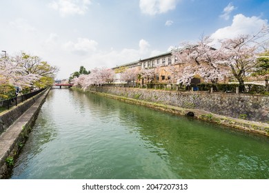 Kamo River In Kyoto, Japan