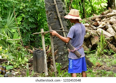 81 Kampong sugar Images, Stock Photos & Vectors | Shutterstock