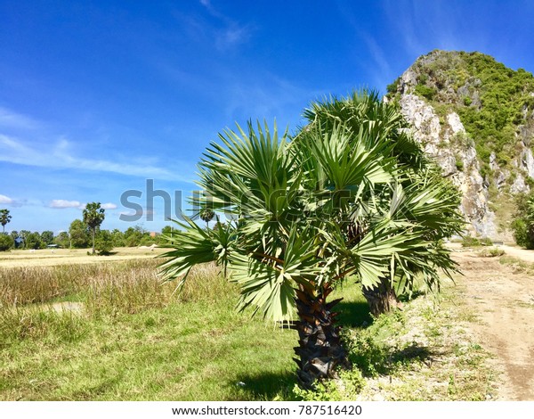 Kampong Trach Mountain Cambodia Stock Image Download Now