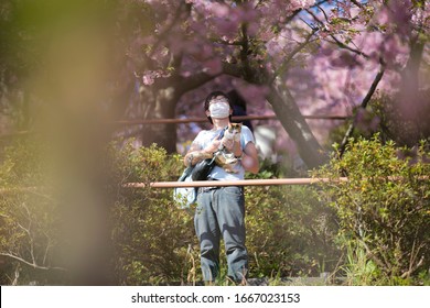 桜背景 おしゃれ High Res Stock Images Shutterstock