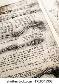 Kandy, Sri Lanka - 17 February 2021: 4th century anatomy art by Leonardo Da Vinci in Kandy medical exhibition