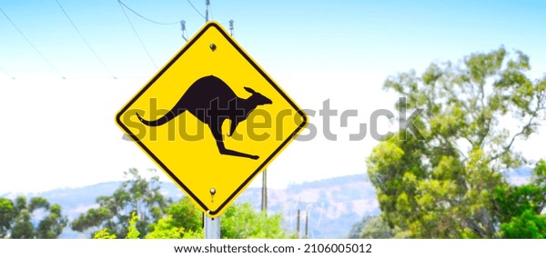Kangaroo Crossing sign\
along Australian road. Sized to fit popular social media and web\
banner placeholder.