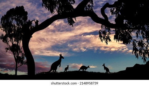 Kangaroos And Koala In A Gum Tree Silhouette