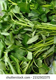 Kangkung Is A Plant That Includes Vegetables And Is Grown As Food. Kale Is Widely Sold In Markets. Kangkung Is Widely Available In Asia, Especially In Watery Areas.