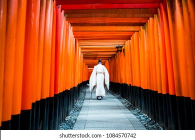 Kannushi Early Morning In Fushimi Inari Kyoto Japan