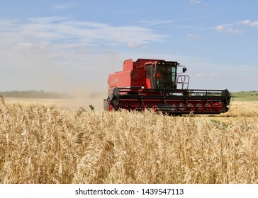 Kansas Wheat Field Harvest 2019