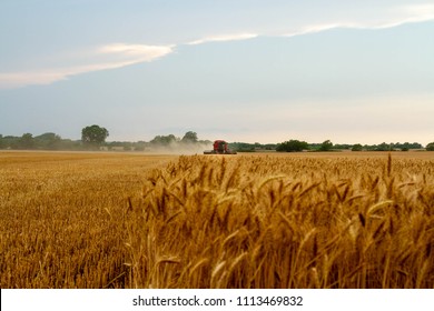 Kansas Wheat Harvest