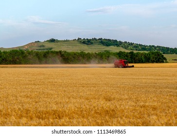 Kansas Wheat Harvest