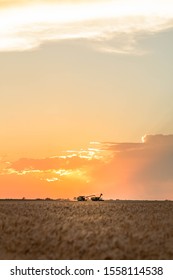 Kansas Wheat Harvest Golden Hour